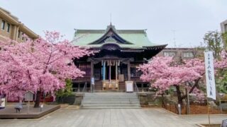 桜神宮のご利益と参拝ガイド｜縁結び・ピンクリボンの意味・一人参拝のポイントまでやさしく解説
