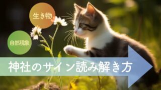 神社で出会う生き物と自然のサイン。神様に歓迎されたサインを読み解き、運命を好転させる具体的な方法